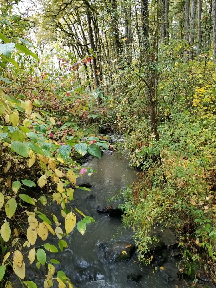 Tualatin Hills Nature Park