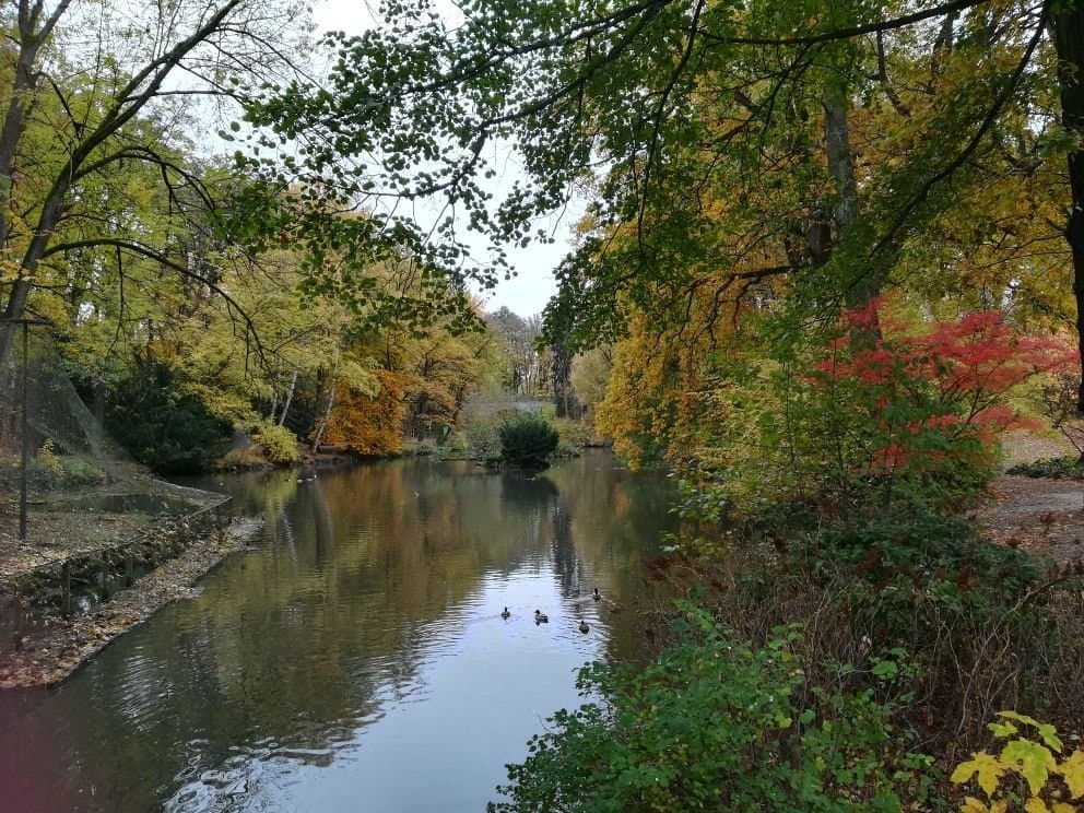 Röhrensee Park & Tierpark