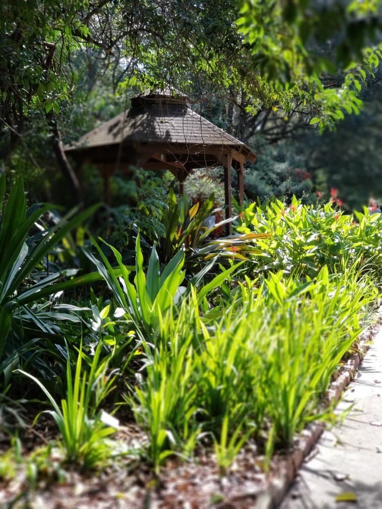 Kanapaha Botanical Gardens