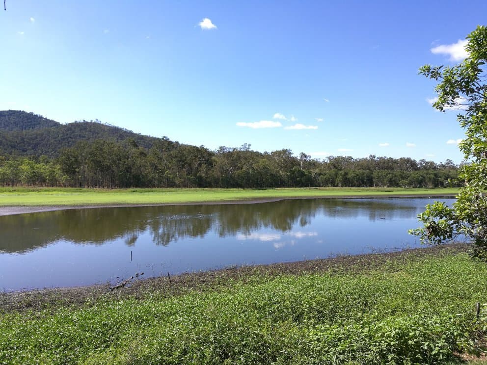 Hasties Swamp National Park