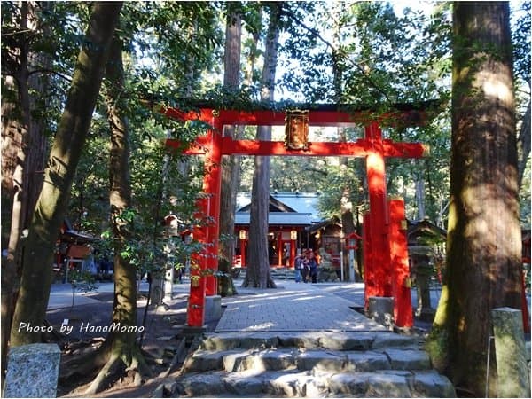 細女(うずめ)本宮椿岸神社 猿田彦大神の妻神 主祭神 天之細女命 (あまのうずめのみこと)