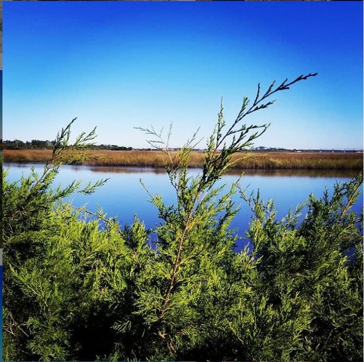 View from the Marsh Trail 