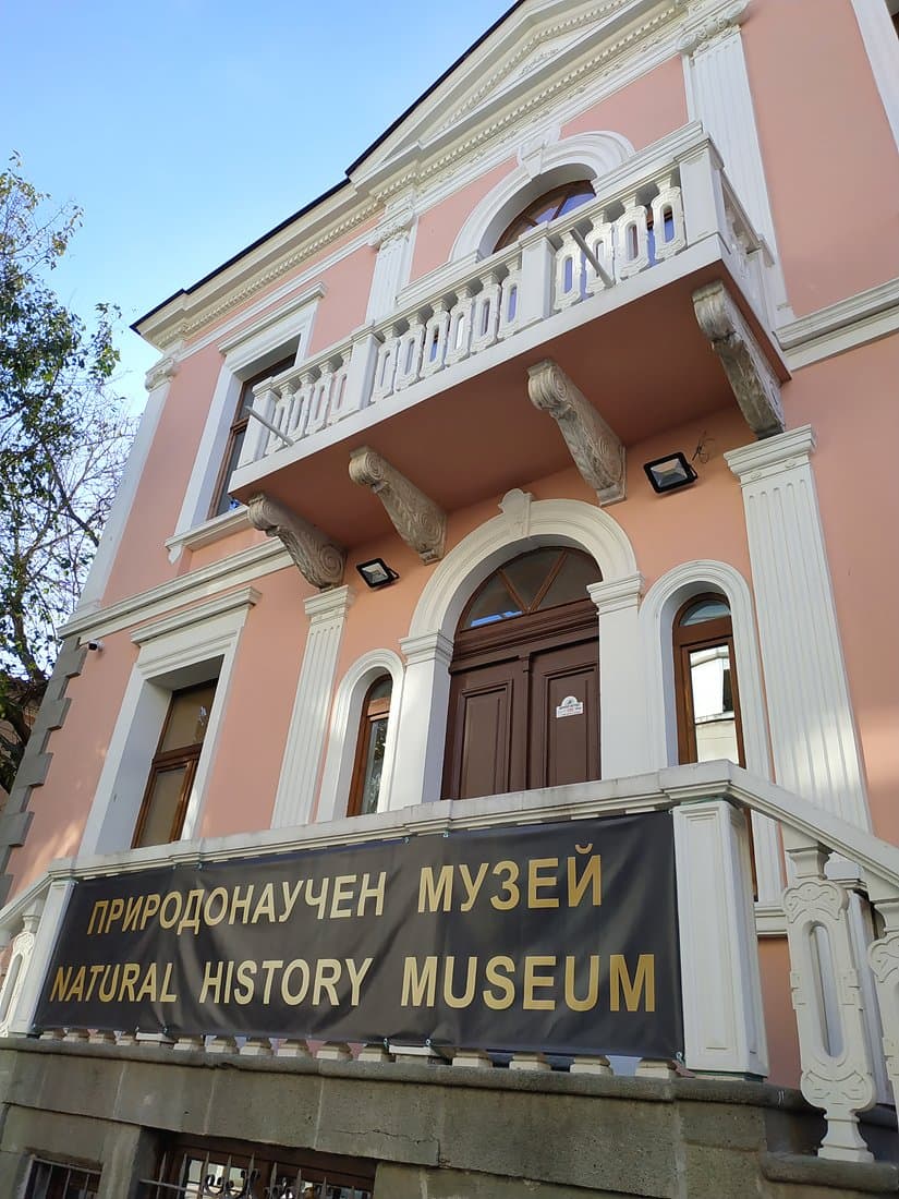 내추럴 히스토리 박물관