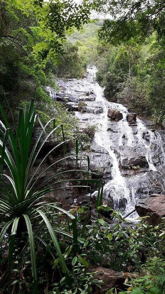 คลายร้อน