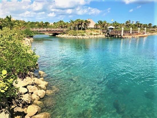 Peanut Island Lagoon