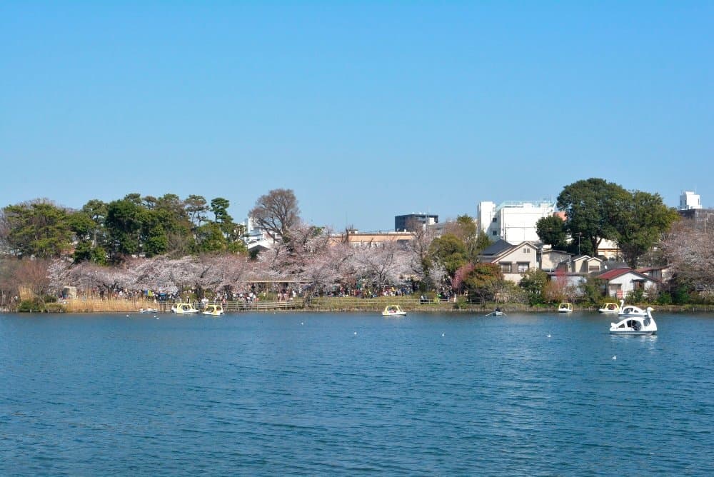 Senzokuike Park
