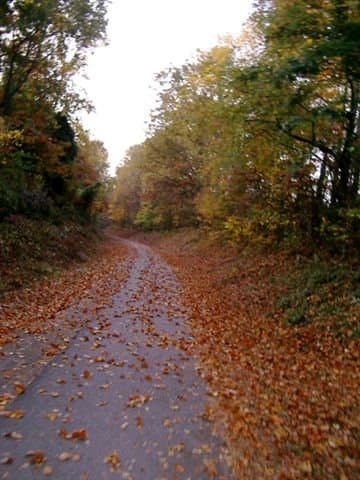 Rails to Trails- Greenville, KY