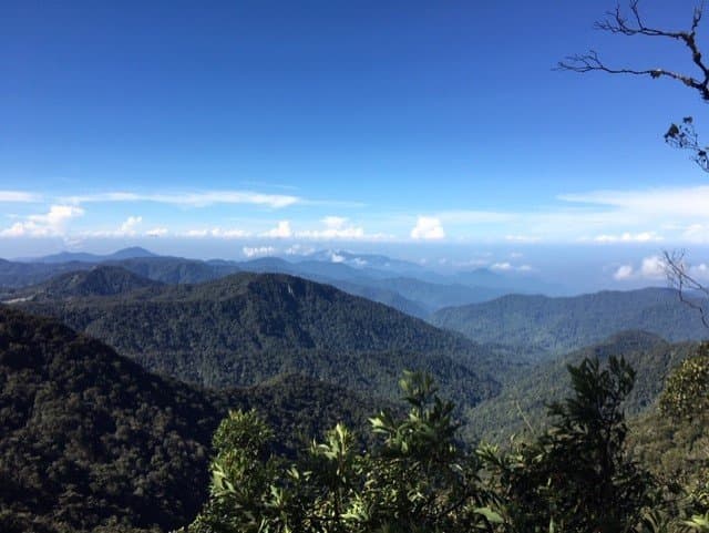 Mossy Forest view, Cameron Highlands, Malaysia by Neil Hassall