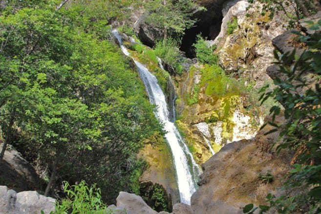 Salmon Creek Falls Trail