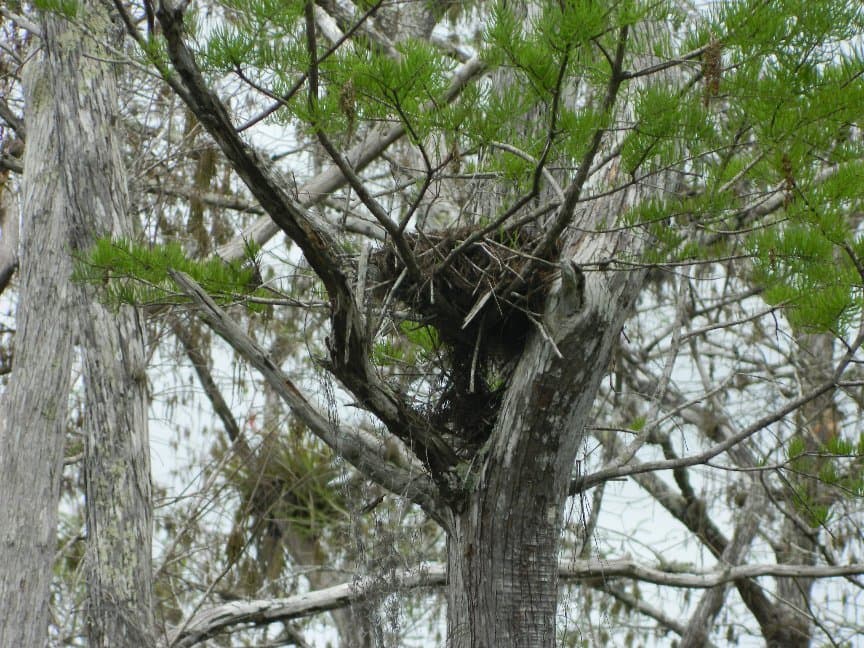 Cypress Creek Natural Area