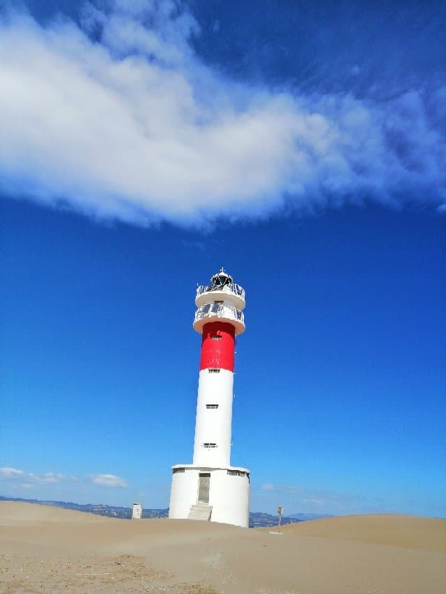 Playa La Punta del Fangar