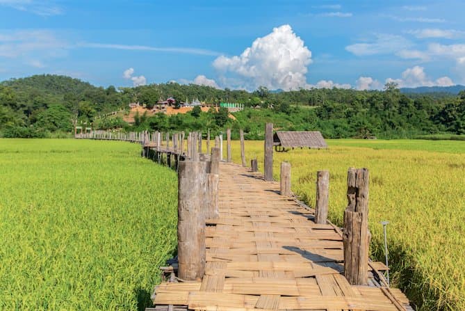 สะพานซูตองเป้แห่งนี้ถือเป็นแลนด์มาร์กที่ใครมาเยือนแม่ฮ่องสอนมักจะแวะมาเที่ยว ซึ่งจริงๆ แล้วที่นี่สามารถมาเที่ยวได้ทุกฤดู แต่สำหรับหน้าฝนนั้นจะพิเศษกว่าฤดูอื่น เพราะทุ่งข้าวในนารอบๆ สะพานจะเปลี่ยนเป็นสีเขียวสวยงาม ในยามเช้าที่พระอาทิตย์ขึ้น แสงสีทองอ่อนๆ จะค่อยๆ สาดส่องลงไปยังทุ่งนาสีเขียวเป็นภาพที่น่าประทับใจสำหรับผู้ที่ได้เห็น เป็นสะพานบุญที่เป็นบุญตาสำหรับผู้มาเยือน