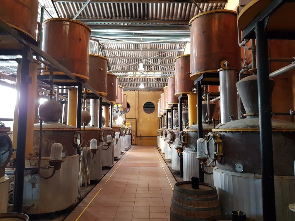 Capel Pisco Museum and Distillery