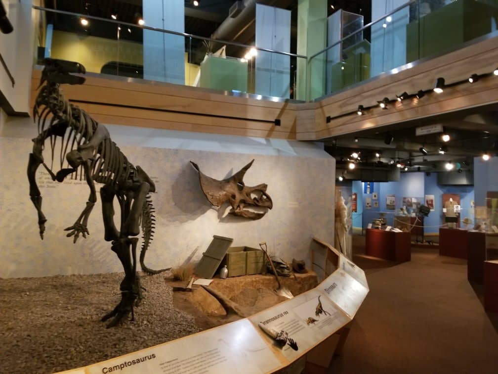 Wyoming State Museum