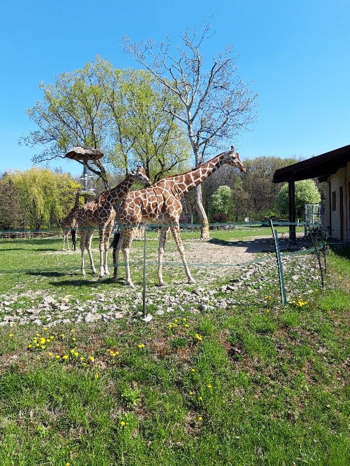 Silesian Zoo