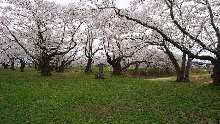 Namioka Castle Site Park
