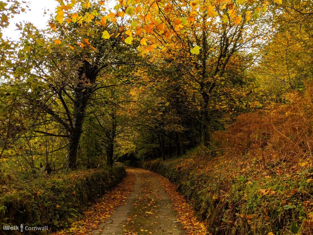 Autumn colours at North Hill