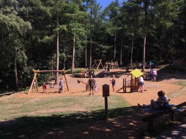 Playground at Wyre Forest