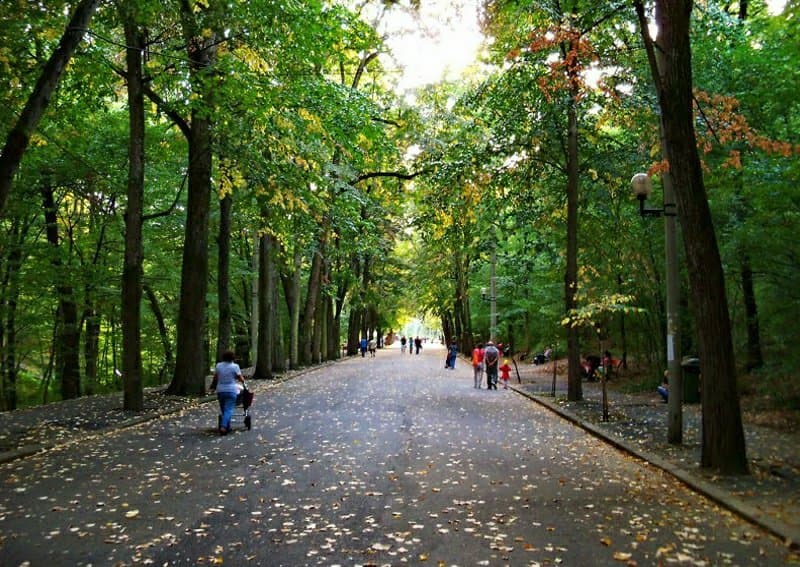 Parcul Trivale