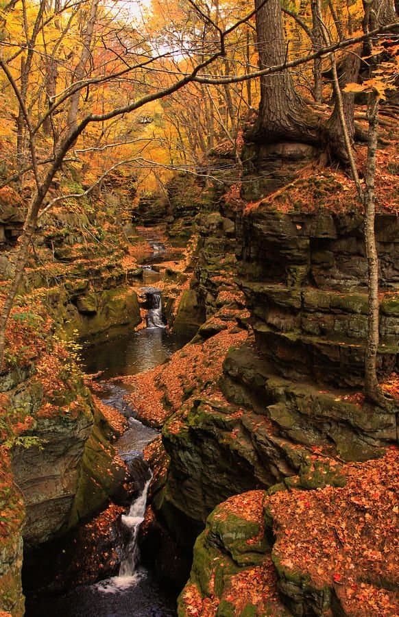 Parfrey's Glen State Natural Area