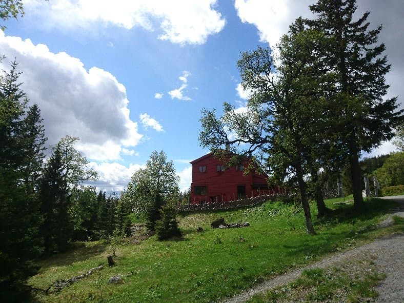 Skistua