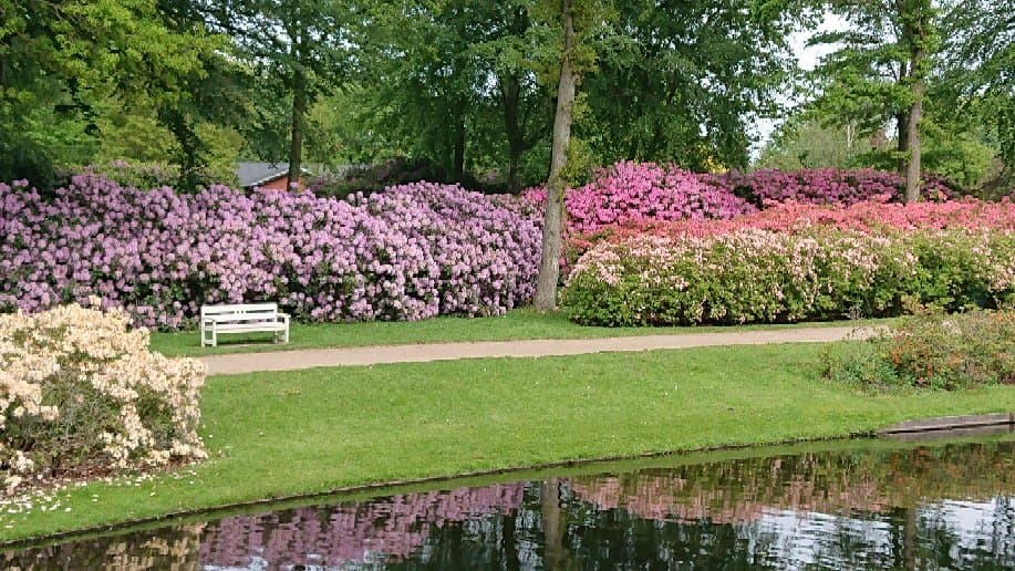 Hedelund Rhododendron Park Brønderslev