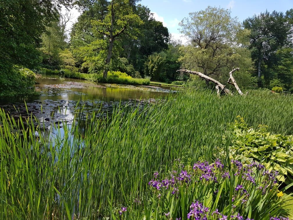 Longstock Water Gardens