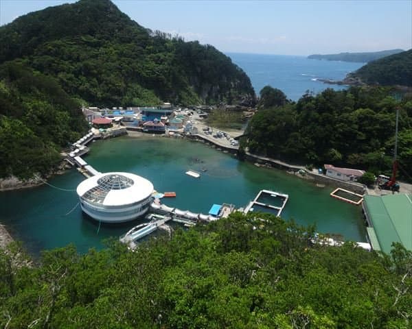 下田海中水族館