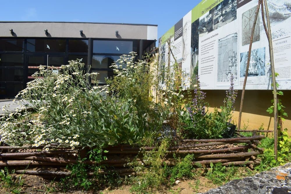 Le jardin mérovingien