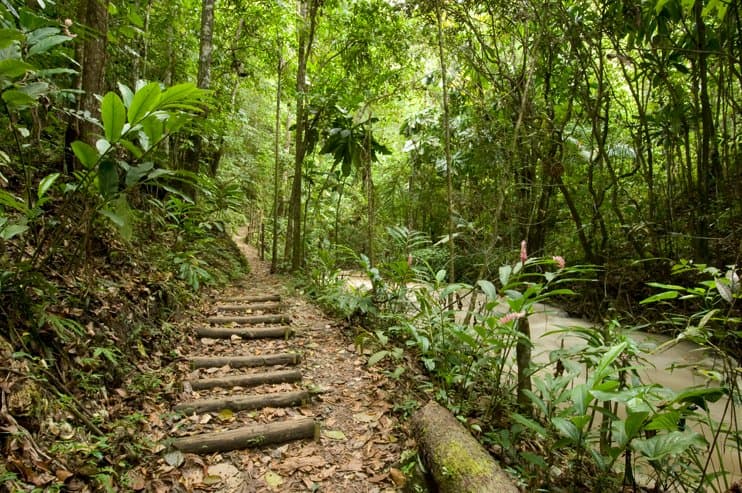 Hike through the rainforest to the riverhead and blue hole