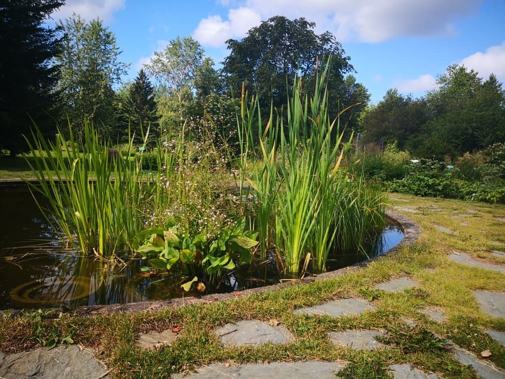 Botanical Garden, University of Oulu