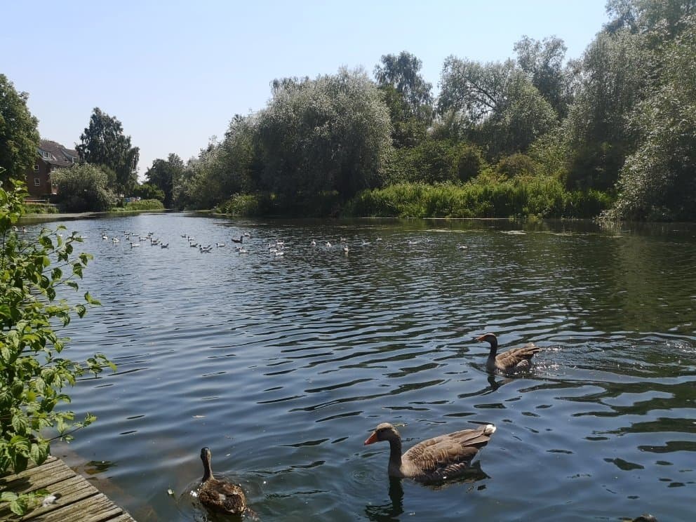 Wensum Park