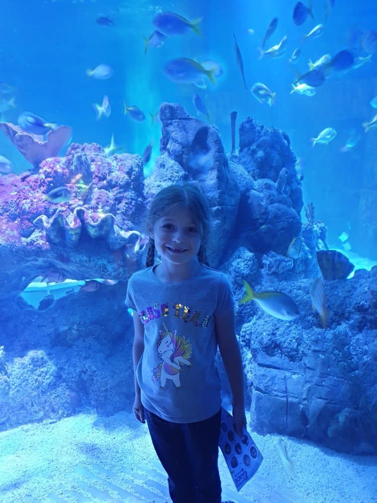 Blue Reef Aquarium