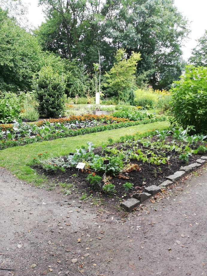 World of Kina The Garden