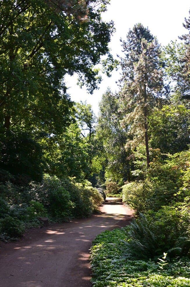 Forstbotanischer Garten