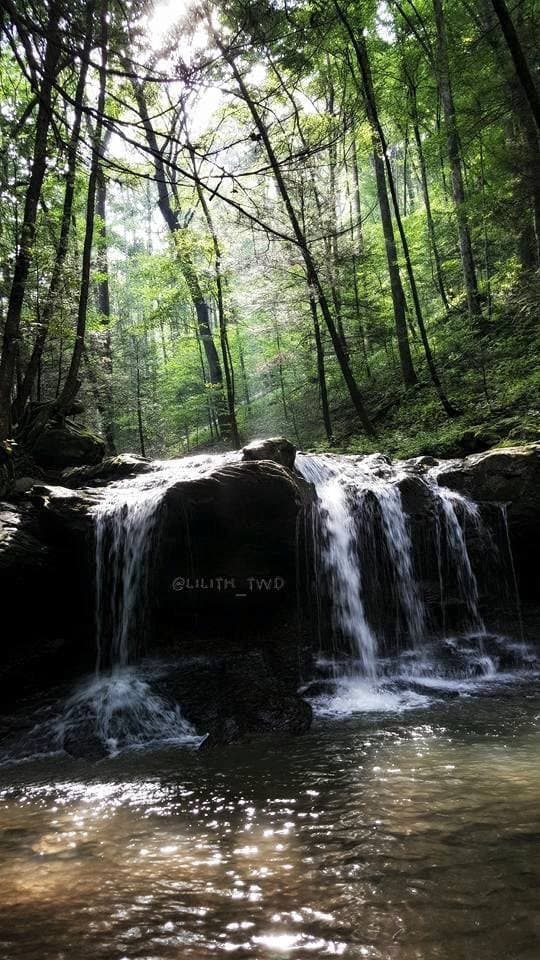 Frozen Head State Park Tennessee