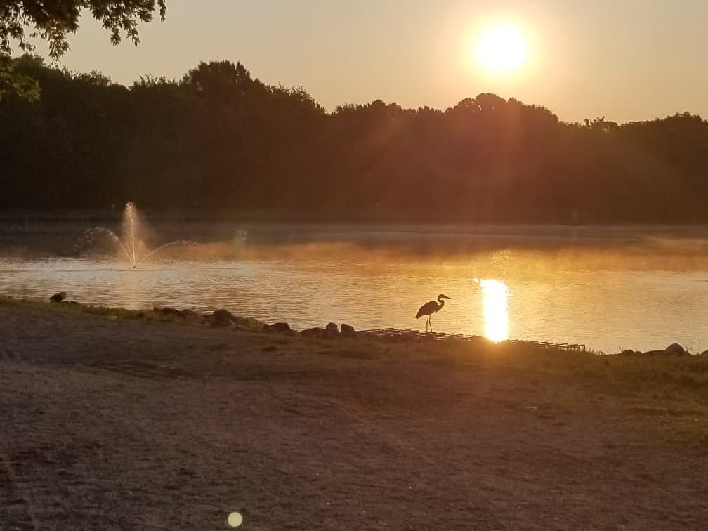 Frank Liske Park Concord NC