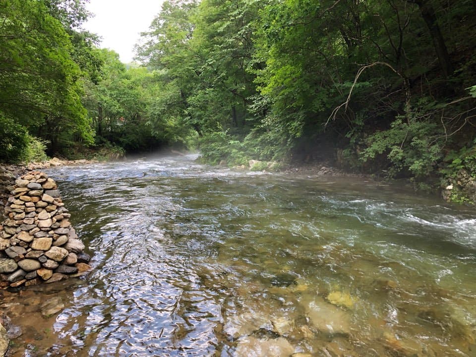 풍부한 수량보소....