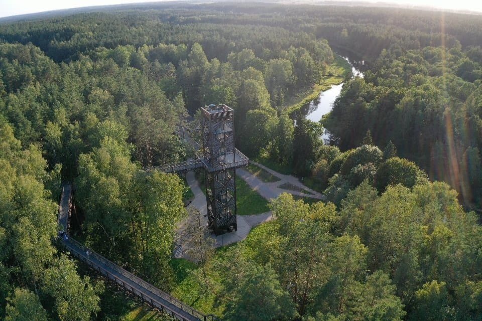 Treetop Walking Path Anykščiai Lithuania