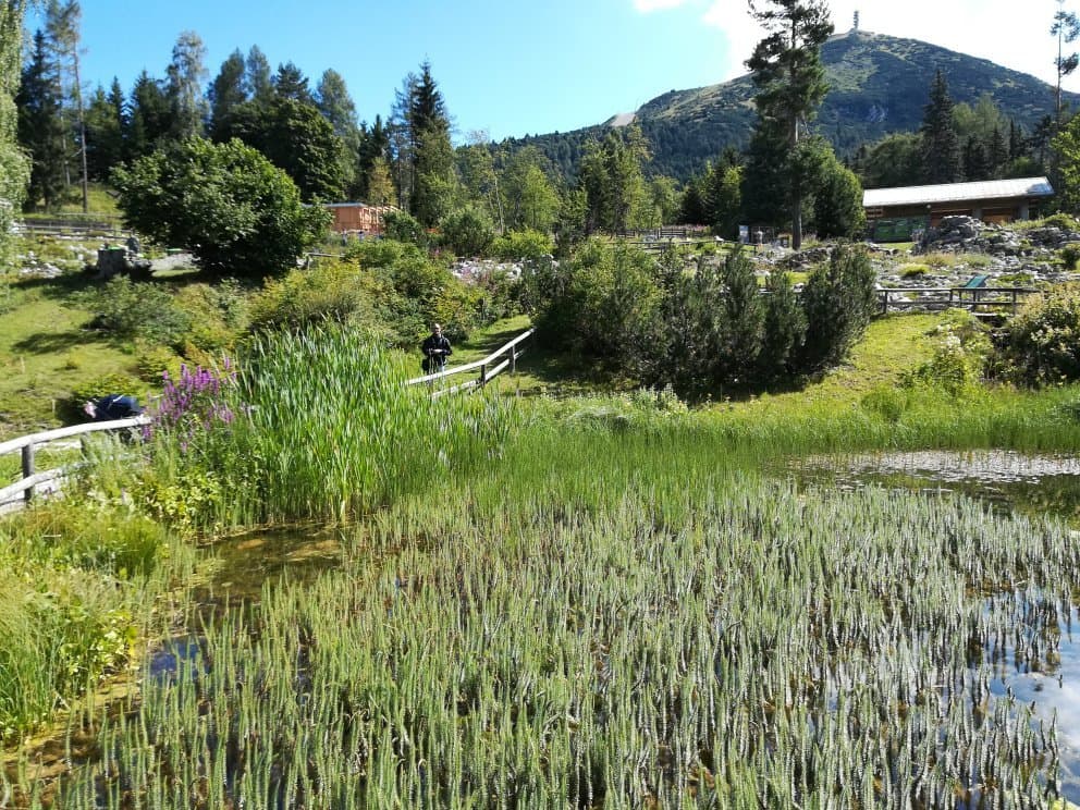 Giardino Botanico Alpino Viote di Monte Bondone