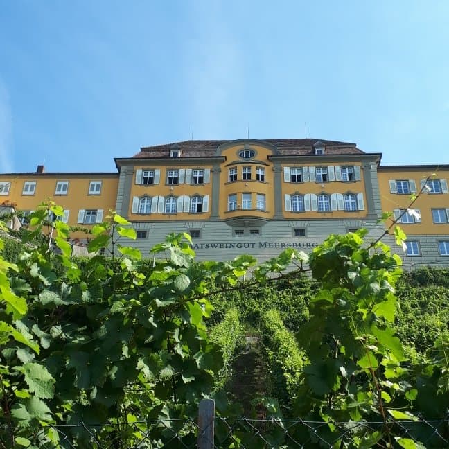 Es ist so schön von unden aber auch von oben zu sehen. Der Wein ist köstlich unbedingt probieren.