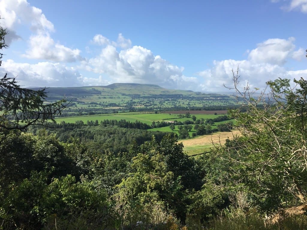 View from Leyburn Shawl