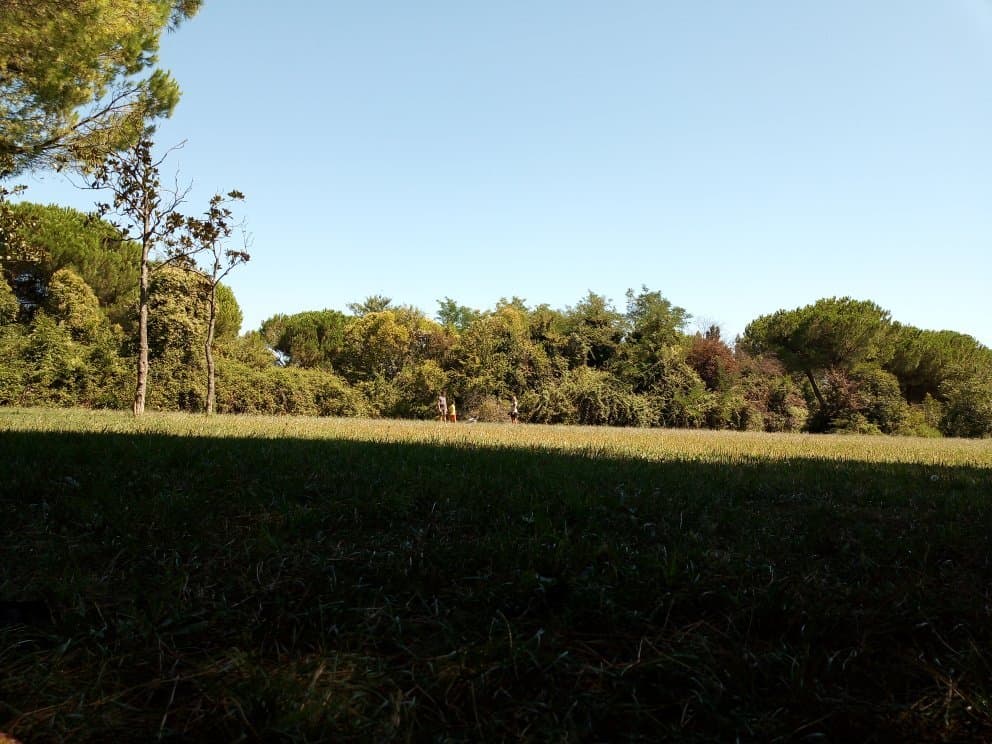 Parco Giovanni Paolo II Laghetto