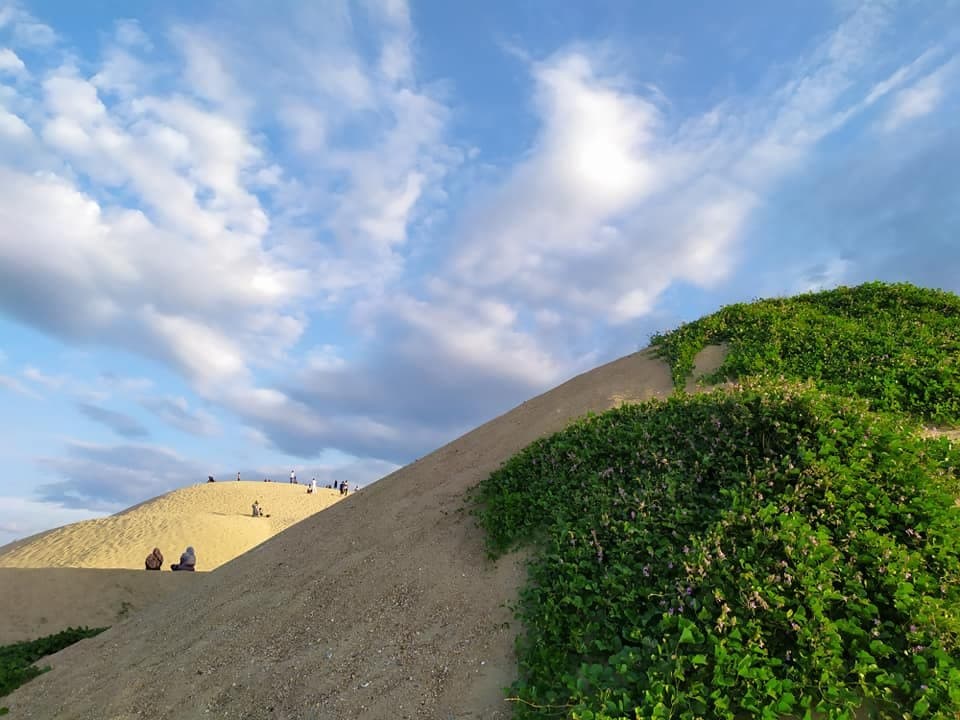 This sand hill@sand dunes become the main attraction to the locals coming here. those who want to feel like we are at the desert in arabic country, can come here. Please take care of our trash since the place not provide the dustbin. 