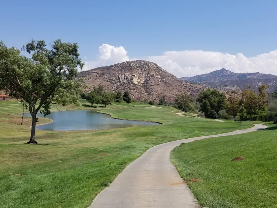 #14
