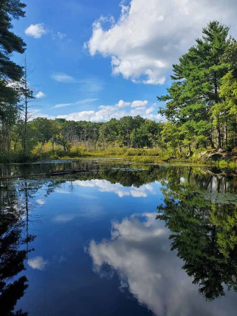 Broadmoor Wildlife Sanctuary