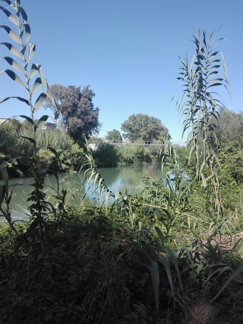 Pista Ciclabile Lungofiume