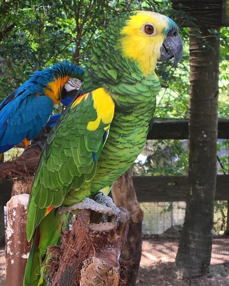 Explore Farm in the City