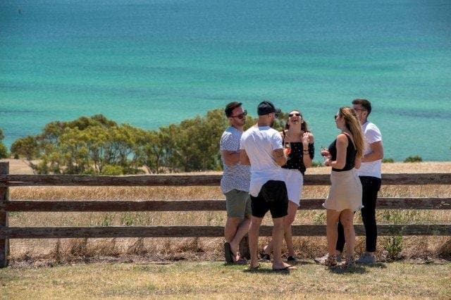 Amazing views + great food, wine and service - experience Jack Rabbit Vineyard.  