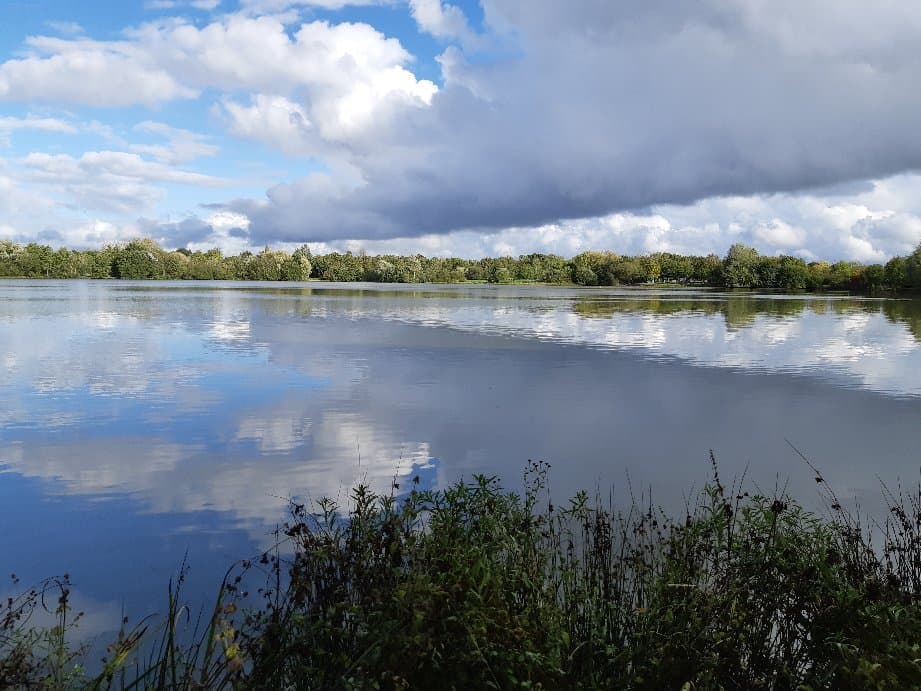 Etangs d'Apigné